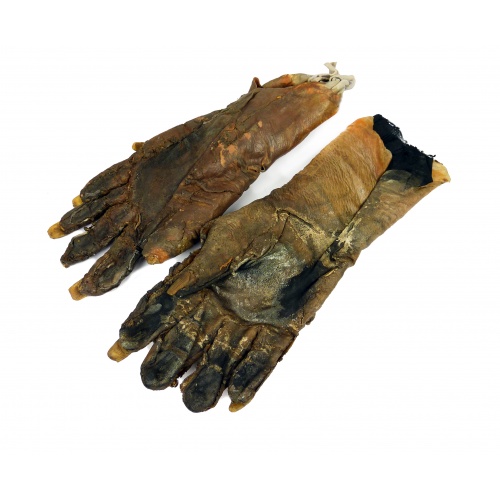 Manos (Guantes) de un Inmortal