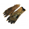 Pair of Immortal Hands (Gloves)