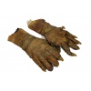 Pair of Immortal Hands (Gloves)
