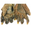 Pair of Immortal Hands (Gloves)