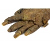 Pair of Immortal Hands (Gloves)