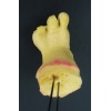 Daffy's Feet