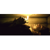 Mechero Zippo Promocional de Paul Conroy (Ryan Reynolds)