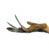 Freddy's (Robert Englund) 'Spoon' Glove