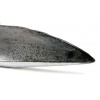 Victor Zsaz's (Tim Booth) Stunt Knife
