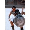 Maximus' (Russell Crowe) Production Made Armour Decorations