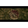 Hero Aztec Coin