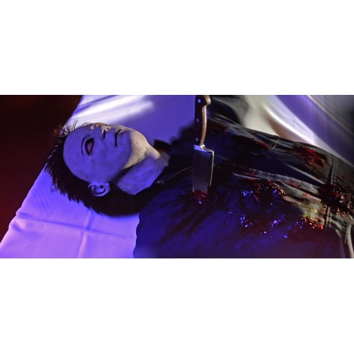 Cuchillo FX Retráctil