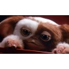 Original Gizmo Puppet