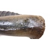 Alien Warrior Back Pipe