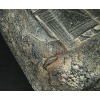 Ancient Engineer 'Star-Map' Tablet