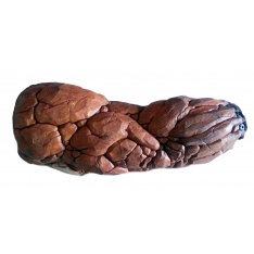 Brazo Izquierdo de La Cosa (Michael Chicklis)