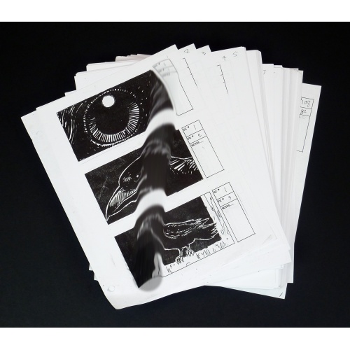 Lote de Storyboards Originales