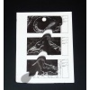 Lote de Storyboards Originales
