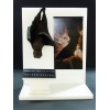 Bat-Cave Bat on Display