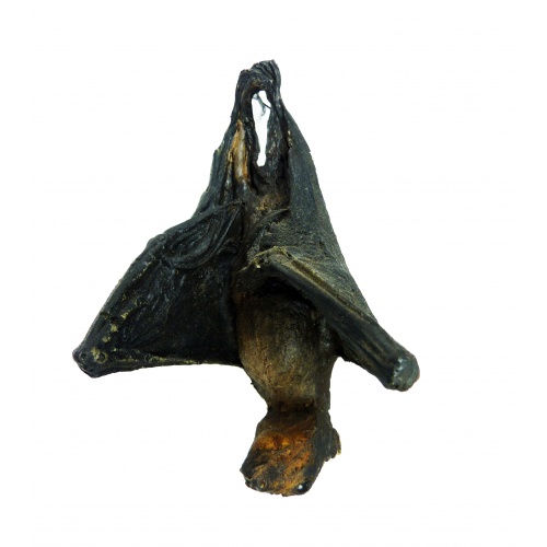 Hanging Batcave Bat on Display