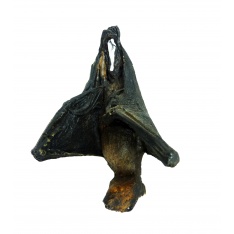 Murciélago de la Cueva de Batman (con Display)