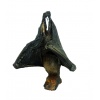 Bat-Cave Bat on Display
