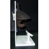 Bat-Cave Bat on Display