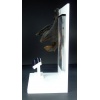 Bat-Cave Bat on Display