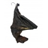 Bat-Cave Bat on Display