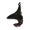 Bat-Cave Bat on Display