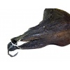 Bat-Cave Bat on Display