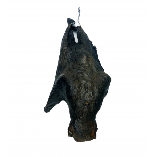Hanging Batcave Bat on Display