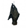 Bat-Cave Bat on Display