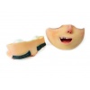 Triple Stop-Motion Norman (Kodi Smit-McPhee) Head Display Crew Gift 