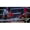 Rocky Balboa's (Sylvester Stallone) Signed Boxing Gloves