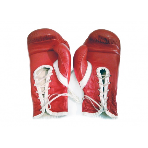Rocky Balboa's (Sylvester Stallone) Signed Boxing Gloves