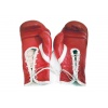 Rocky Balboa's (Sylvester Stallone) Signed Boxing Gloves