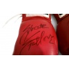 Rocky Balboa's (Sylvester Stallone) Signed Boxing Gloves